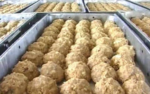 திருப்பதி லட்டு பிரசாதத்தின் தரத்தை உயர்த்த தேவஸ்தானத்திடம் சென்னை பக்தர் கோரிக்கை