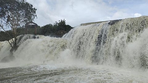 குமரியில் நீடிக்கும் மழை;பேச்சிப்பாறையில் இருந்து1968 கனஅடி தண்ணீர் திறப்பு: திற்பரப்பு அருவியில் ஆர்ப்பரிக்கும் வெள்ளம்