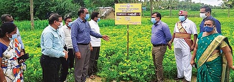 தெக்குப்பட்டு கிராமத்தில் 100 ஹெக்டேர் பரப்பில் சாகுபடி செய்யப்பட்டு வரும் மானாவாரி பயிர்களை ஆய்வு செய்த ஆட்சியர் அமர் குஷ்வாஹா. அருகில், வேளாண் இணை இயக்குநர் ராஜசேகர் உள்ளிட்டோர்.