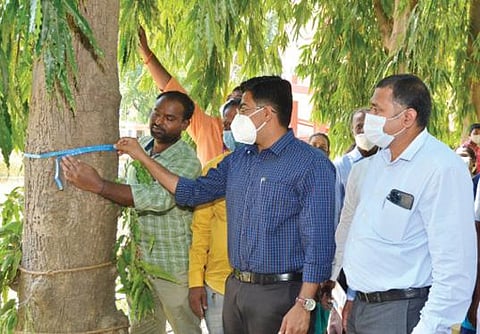 திருநெல்வேலி மாவட்ட அறிவியல் மையத்தில் மரங்கள் கணக்கெடுப்பு பணியை ஆட்சியர் வே.விஷ்ணு தொடங்கி வைத்தார். படம்: மு. லெட்சுமி அருண்.