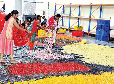 திருப்பதி தேவஸ்தான கோயில்களில் உபயோகப்படுத்தப்பட்ட மலர் மாலைகளில் உள்ள பூக்கள் தரம் பிரிக்கப்படுகின்றன.