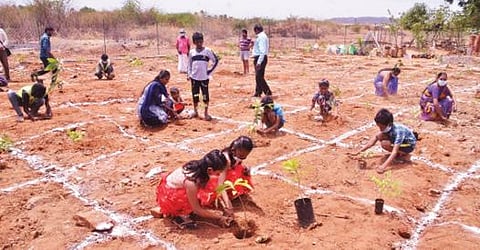 பாளையங்கோட்டை வி.எம். சத்திரம் மூர்த்திநாயனார் குளம் வடமேற்கு கரையில் குறுங்காடு வளர்ப்பு திட்ட தொடக்க விழா நடைபெற்றது.