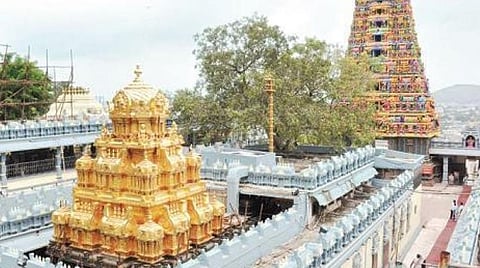 இந்த ஆண்டும் ஏகாந்தமாக திருப்பதி பிரம்மோற்சவம்