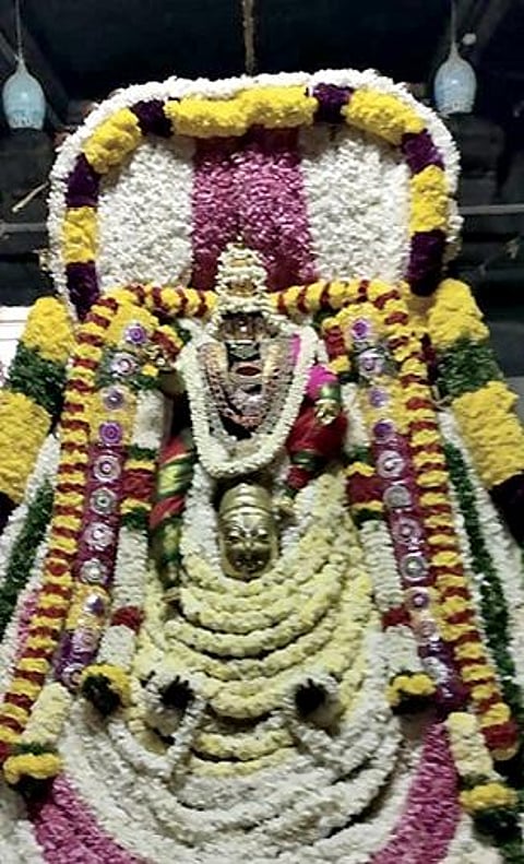 திருநெல்வேலி அருகே திருவேங்கடநாதபுரம் வெங்கடாசலபதி கோயிலில் நேற்று மாலை 7 மணிக்கு கருட வாகனத்தில் சுவாமிக்கு அலங்காரமாகி தீபாராதனை நடந்தது. புறப்பாடு நடைபெறவில்லை.