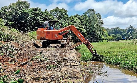 ஏற்காடு ஏரியில் படர்ந்துள்ள ஆகாயத்தாமரை செடிகள், இயந்திரத்தின் உதவியுடன் அகற்றப்பட்டு வருகிறது.
