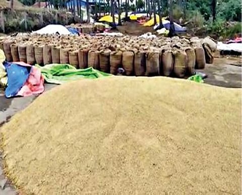 கோபி பகுதியில் பெய்த கனமழையால் 40 ஏக்கரில் பயிரிடப்பட்டு இருந்த கரும்பு முற்றிலும் சேதம் அடைந்தது. அடுத்தபடம்: கோபி பகுதியில் உள்ள அரசு நெல் கொள்முதல் நிலையத்தில் திறந்த வெளியில் வைத்திருந்த நெல் மூட்டைகள் மழை நீரில் நனைந்து சேதம் அடைந்தன.