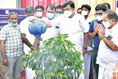 திருப்பூர் மாவட்டத்தில் உள்ள அனைத்து கோயில்களிலும் - 3,000 தல மரக்கன்றுகள் நடவு செய்ய திட்டம் : அமைச்சர் மு.பெ.சாமிநாதன் தகவல்