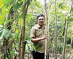 நெருங்கி நடவு செய்யப்பட்ட தனது தோட்டத்தில் ஹரி.