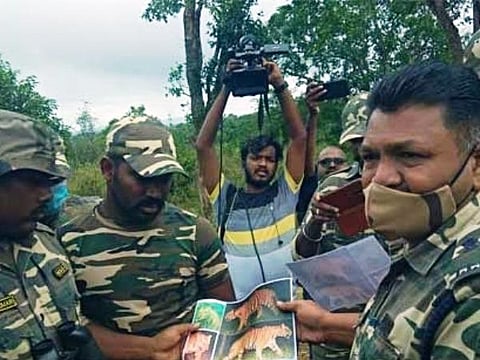 புலியை தேடும் வனத்துறை மற்றும் அதிரடிப்படையினர்.