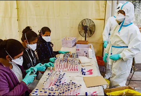 தமிழகத்திலேயே முதலிடம்: விருதுநகர் மாவட்டத்தில் 88% பேருக்கு நோய் எதிர்ப்பு சக்தி அதிகரிப்பு