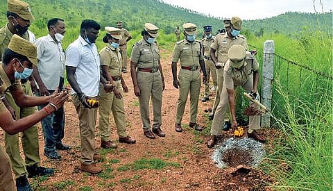 வேலூர் மாவட்ட காவல்துறை சார்பாக சலமநத்தம் பகுதியில் உள்ள துப்பாக்கி சுடும் பயிற்சி தளத்தில் 5,000 பனைமர விதைகள் நடும் விழா நடைபெற்றது. இதனை, மாவட்ட காவல் கண்காணிப்பாளர் செல்வகுமார் நேற்று தொடங்கி வைத்தார். படம்: வி.எம்.மணிநாதன்.