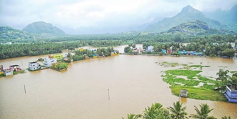 நெல்லை, தென்காசி, கன்னியாகுமரியில் கொட்டித்தீர்த்த கனமழை : பாபநாசம் அணை நீர்மட்டம் ஒரே நாளில் 23 அடி உயர்வு