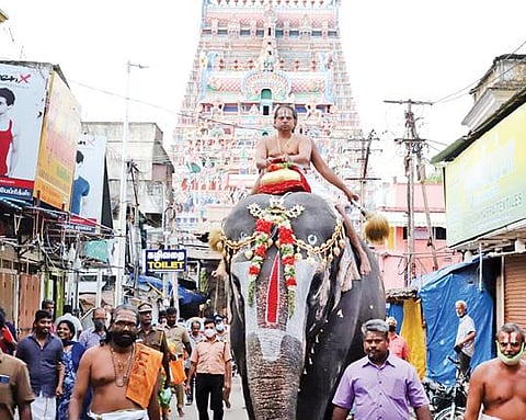 துலா மாத பிறப்பை முன்னிட்டு, ரங்கம் நம்பெருமாள் திருமஞ்சனத்துக்காக நேற்று காவிரி ஆற்றிலிருந்து தங்கக் குடத்தில் எடுத்து, யானை மீது வைத்து கோயிலுக்கு கொண்டு வரப்படும் புனித நீர்.