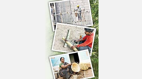 மூங்கில் சொல்லும் பொறியியல் சித்தாந்தங்கள்