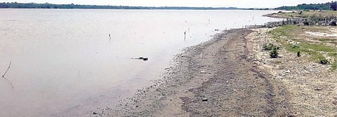 மரக்காணத்தில் மீன்பிடித் துறைமுகம் அமைக்க தேர்வு செய்யப்பட்ட பகுதி.