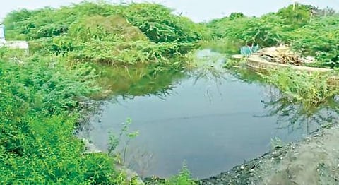 மல்லசமுத்திரம் ஊராட்சி ஒன்றியத்துக்கு உட்பட்ட வண்டிநத்தம் பெரிய ஏரி அதன் முழுக் கொள்ளளவையும் எட்டிக் காணப்படுகிறது.