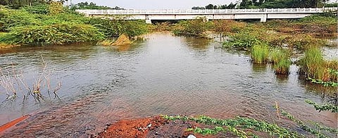 கல்லல் அருகே மணிமுத்தாற்றில் பெருக்கெடுத்து ஓடிய தண்ணீர்.