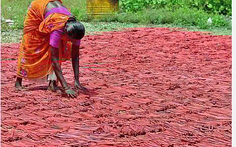 பட்டாசு உற்பத்தியாளர்களுக்கு அவகாசம் வழங்காதது ஏன்?- விற்பனையாளர்கள், பட்டாசு பிரியர்கள் வருத்தம்