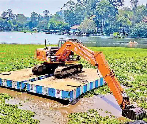 ஏற்காடு ஏரியில், ‘ட்ரெட்ஜர்’ பொருத்தப்பட்ட பொக்லைன் மூலம் ஆகாயத்தாமரையை அகற்றும் பணி நடைபெற்றது.