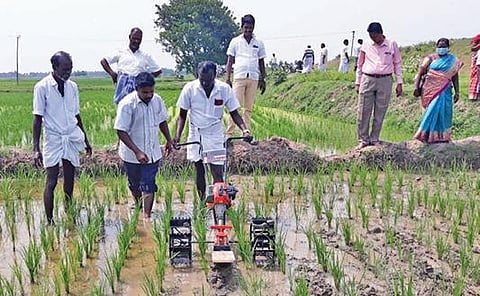 குறிஞ்சிப்பாடி அருகே அரங்கமங்கலத்தில் வேளாண்துறை சார்பில் நடந்த வயல் வெளி பள்ளியில் விவசாயிகளுக்கு விசை இயந்திரம் மூலம் களை எடுப்பது குறித்த பயிற்சி அளிக்கப்பட்டது.