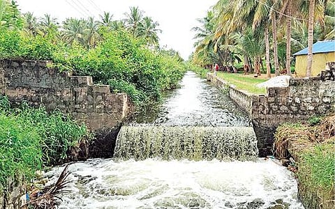 பாரூர் ஏரியில் இருந்து திறந்துவிடப்படும் தண்ணீர் திருவயலூர் கால்வாய் வழியாக புளியம்பட்டி ஏரிக்கு செல்கிறது. படம்: எஸ்.கே.ரமேஷ்