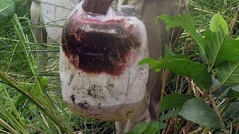 பிஹாரில் 24 பேர் பலி: பலர் கவலைக்கிடம்: கள்ளச்சாராயம் காரணமா என போலீஸார் விசாரணை