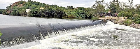 திருவண்ணாமலை மாவட்டம் சாத்தனூர் அணையில் இருந்து திறந்துவிடப்பட்ட தண்ணீர் ஆர்ப்பரித்து செல்கிறது.