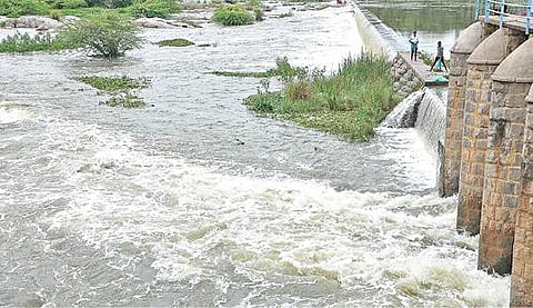 கிருஷ்ணகிரி அணையில் இருந்து திறந்துவிடப்பட்டுள்ள தண்ணீர் நெடுங்கல் தடுப்பணை வழியாக சீறிப்பாய்ந்து செல்கிறது.