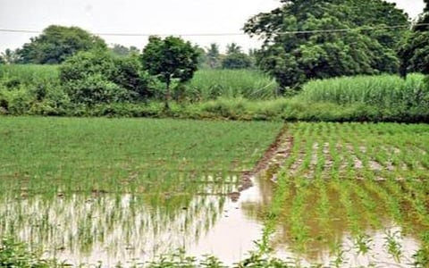 துல்லியமான வானிலை கணிப்பு ஏன் வேண்டும்?