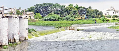 வண்டியூர் கண்மாய்க்கு வந்த தண்ணீர் வைகை ஆற்றில் கலக்கிறது. படம்: எஸ்.கிருஷ்ணமூர்த்தி