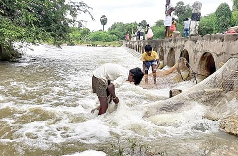ஏரியூர் அருகே தும்பைப்பட்டி மணிமுத்தாற்றில் பாய்ந்து வரும் தண்ணீரில் வலை விரித்து மீன்பிடித்த சிறுவர்கள்.