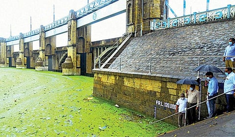 மேட்டூர் அணை நீர்தேக்கப்பகுதியில் உள்ள நீர்மட்ட அளவீடு பகுதியில் நேற்று சேலம் ஆட்சியர் கார்மேகம் ஆய்வு செய்தார். உடன் துணை ஆட்சியர் வீர் பிரதாப் சிங், நீர்வளத்துறை செயற்பொறியாளர் தேவராஜன் உள்ளிட்டோர்.