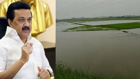 மழையால் பாதிக்கப்பட்ட டெல்டா மாவட்டங்களில் முதல்வர் ஸ்டாலின் 2 நாட்கள் ஆய்வு: இன்று மாலை கடலூர் பயணம்