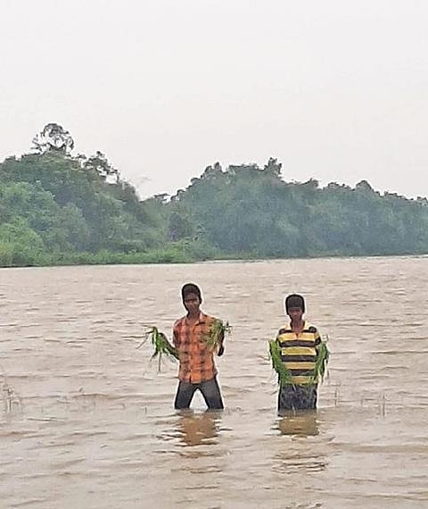 கீழணையில் இருந்து கொள்ளிடத்தில் உபரி நீர் வெளியேற்றப்படுகிறது.