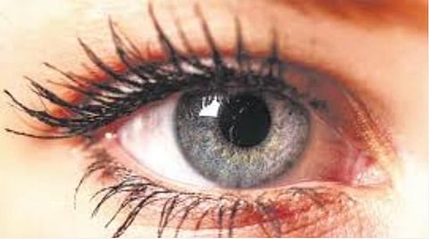 சென்னையில் நவ.14-ம் தேதி இலவசக் கண் பரிசோதனை முகாம்