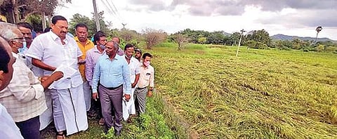 ராணிப்பேட்டை மாவட்டம் பெருங்காஞ்சி ஊராட்சியில் மழையால் அறுவடைக்கு தயாராக இருந்த நெற்பயிர் நீரில் மூழ்கி சேதமடைந்ததை நேற்று நேரில் ஆய்வு செய்த அமைச்சர் ஆர்.காந்தி அருகில், மாவட்ட ஆட்சியர் பாஸ்கர பாண்டியன் உள்ளிட்டோர்.