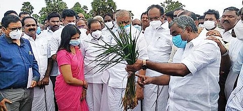 திருவாரூர் அருகே கண்கொடுத்தவணிதம் கிராமத்தில், மழையால் பாதித்த சம்பா, தாளடி பயிரின் நிலை குறித்து அமைச்சர்களிடம் விளக்கும் எம்எல்ஏ பூண்டி கலைவாணன். உடன், மாவட்ட ஆட்சியர் ப.காயத்ரிகிருஷ்ணன்.