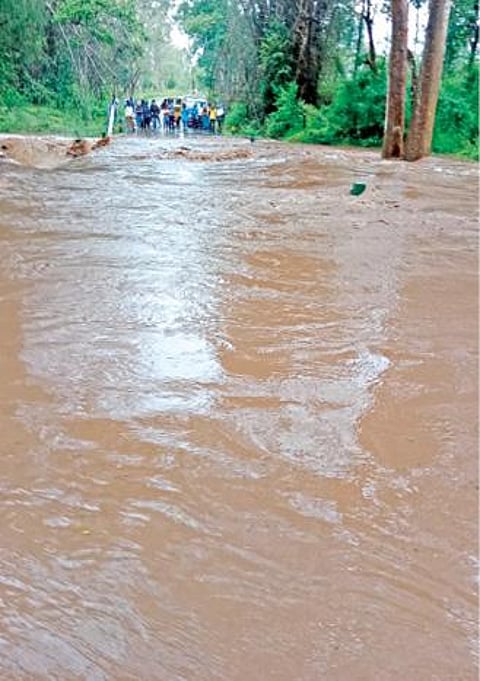 தலமலையில் இருந்து தாளவாடி செல்லும் சாலையில் சிக்ஹள்ளி தரைப்பாலம் வெள்ளப்பெருக்கால் மூழ்கியது. இதனால் போக்குவரத்து துண்டிக்கப்பட்டது.