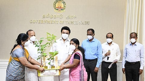 ரூ.11 கோடி மதிப்பீல் புதிய வேளாண் காடுகள் வளர்ப்புத் திட்டம் ; முதல்வர் ஸ்டாலின் தொடங்கி வைத்தார்