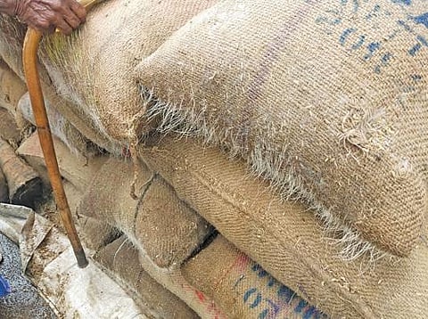 தொடர் மழையால் நனைந்த நெல் மூட்டைகளில் இருந்த நெல்மணிகள் முளைத்துள்ளன.