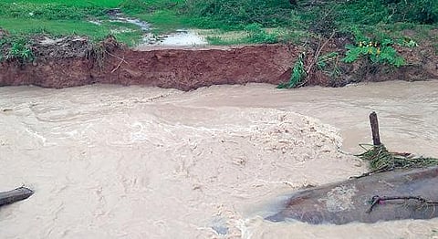 அயன்குறிஞ்சிப்பாடி பகுதியில் தாழை வாய்க்காலில் இருந்த குழாய் பாலம் மழை தண்ணீரில் அடித்து செல்லப்பட்டுள்ளது.