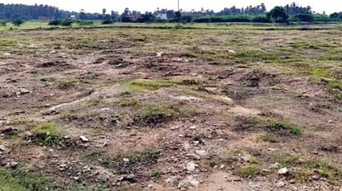 ஊரெல்லாம் மழை வெள்ளம்: ராதாபுரம், திசையன்விளை வட்டாரங்களில் குளங்கள் நிரம்பாததால் விவசாயிகள் கவலை