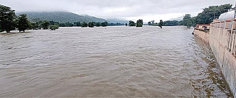 தருமபுரி மாவட்டம் ஒகேனக்கல் காவிரியாற்றில் குடிநீர் திட்ட நீரேற்றும் நிலையம் அருகே மரங்களை மூழ்கடித்தபடி ஓடும் தண்ணீர்.