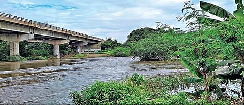 தொடர் மழையால் தலைவாசல் வசிஷ்ட நதியில் பெருக்கெடுத்து ஓடும் தண்ணீர்.