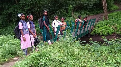 'நாங்களும் படிக்கணும்'- பரிதவிக்கும் பழங்குடியின மாணவர்கள்- பேருந்து வசதியின்றித் தனித்து விடப்பட்ட கிராமம்