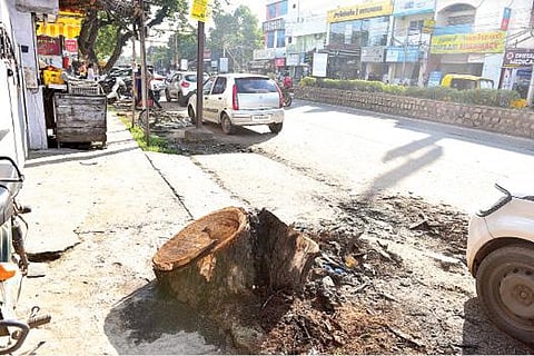 மதுரை கே.கே.நகர் 80 அடி சாலையில் வெட்டப்பட்டுள்ள மரம். படம்: எஸ்.கிருஷ்ணமூர்த்தி