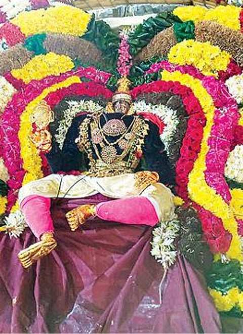 அண்ணாமலையார் கோயிலில் நேற்று சிறப்பு அலங்காரத்தில் எழுந்தருளிய சண்டிகேஸ்வரர்.