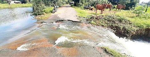 போளூர் அருகே ஏரியில் இருந்து தண்ணீர் வெளியேறுவதால் அத்திமூர் – வடக்காடு சாலை சேதமடைந்துள்ளது.