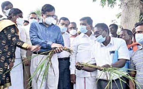 புதுச்சேரி, கடலூர், டெல்டாவில் மத்திய குழு ஆய்வு: மழை பாதிப்பால் ஏக்கருக்கு ரூ.30 ஆயிரம் தர விவசாயிகள் கோரிக்கை