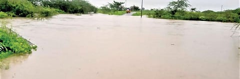 தூத்துக்குடி கதிர்வேல் நகர் பகுதியில் வீடுகளை சூழ்ந்து நிற்கும் மழை வெள்ளம். (அடுத்த படம்) திருச்செந்தூர் கோயில் பேருந்து நிலையம் குளம் போல காட்சியளிக்கிறது. (கடைசி படம்) தூத்துக்குடி சாலைகளில் வெள்ளம் பெருக்கெடுத்து ஓடியதால், வாகனங்கள் தத்தளித்தபடி சென்றன.